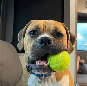 Meet your Posher, Alison